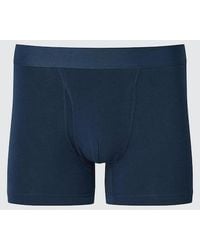 Uniqlo - Cotton Boxer Briefs (Regular Rise) - Lyst