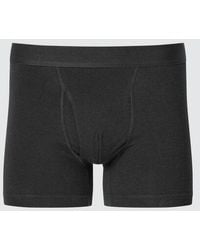 Uniqlo - Cotton Boxer Briefs (Regular Rise) - Lyst