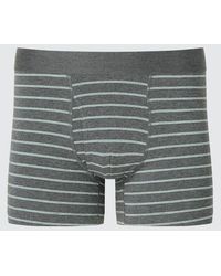 Uniqlo - Cotton Boxer Briefs (Striped) - Lyst