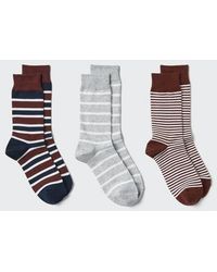 Uniqlo - Socks (Striped, 3 Pairs) - Lyst