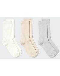 Uniqlo - Socks (Ribbed, 3 Pairs) - Lyst