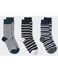 Uniqlo - Socks (Striped, 3 Pairs) - Lyst