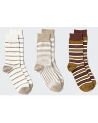 Uniqlo - Socks (Striped, 3 Pairs) - Lyst