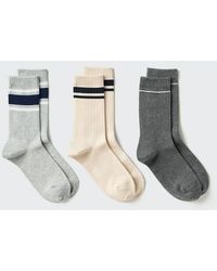 Uniqlo - Socks (Ribbed Line, 3 Pairs) - Lyst