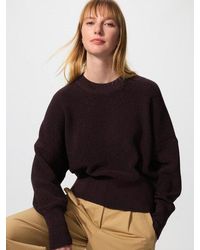 Uniqlo - Mercerised Cotton Crew Neck Jumper - Lyst