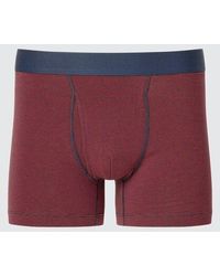 Uniqlo - Cotton Boxer Briefs (Striped) - Lyst