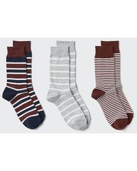 Uniqlo - Socks (Striped, 3 Pairs) - Lyst