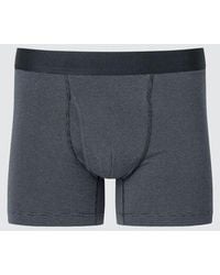 Uniqlo - Cotton Boxer Briefs (Striped) - Lyst