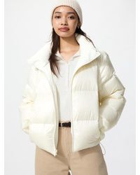 Uniqlo - Reversible Windproof Down Jacket - Lyst