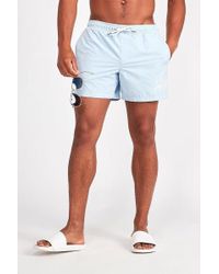 kings will dream swim shorts