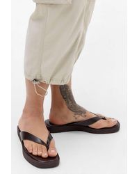 Raid - Brown Elia Flip Flops - Lyst