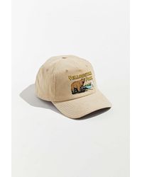 Urban Outfitters Hats for Men | Online 