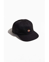 snapback dickies