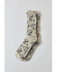 Urban Outfitters - Peanuts Snoopy All Over Print Crew Sock - Lyst