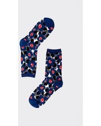 Sock Candy - Bold Floral Sheer Sock - Lyst