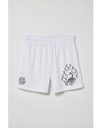 Urban Outfitters - Uo Graphic Skate Short - Lyst
