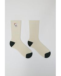 Urban Outfitters - Peanuts Snoopy Ranger Icon Crew Sock - Lyst