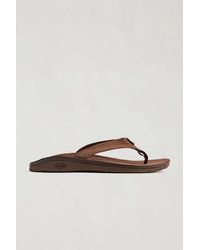 Chaco Classic Leather Flip Sandal - Brown