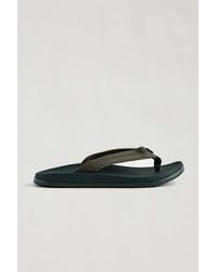 Chaco Chillos Flip Flop Sandal - Green