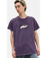 Urban Outfitters - Uo Purple Hold Your Horses T-shirt - Lyst