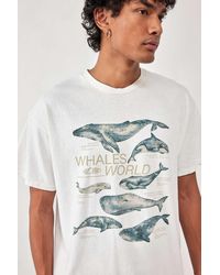 Urban Outfitters - Uo White Whales World T-shirt - Lyst
