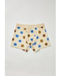 Urban Outfitters - Doodle Floral Boxer Brief - Lyst