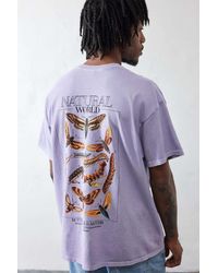 Urban Outfitters - Uo Lilac Natural World Insect Tee - Lyst