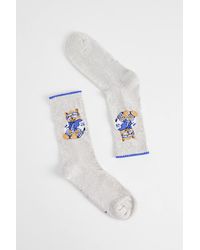 Out From Under - Sleepy Teddy Socks - Lyst