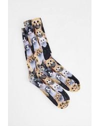 Out From Under - Cat Print Socks At Urban Outfitters - Lyst
