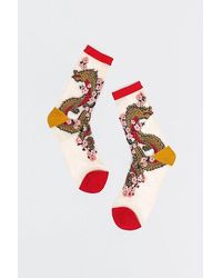 Sock Candy - Year Of The Dragon Sheer Sock - Lyst