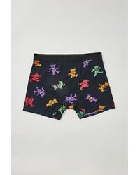Urban Outfitters - Grateful Dead Tossed Bear Icon Boxer Brief - Lyst