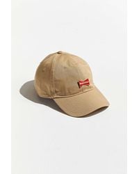 volkswagen bucket hat