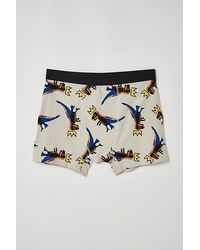 Urban Outfitters - Basquiat Tossed Dino Boxer Brief - Lyst