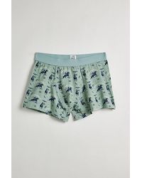 Urban Outfitters - Arizona Rodeo Boxer Brief - Lyst
