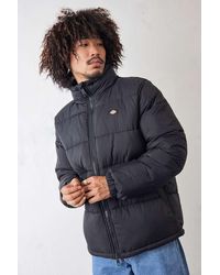 dickies padded jacket