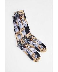 Out From Under - Cat Print Socks At Urban Outfitters - Lyst