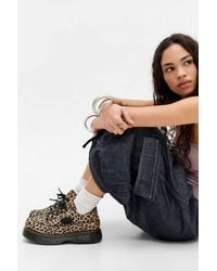 Dr. Martens - Buzz 5-eye Leopard Shoes - Lyst