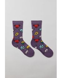 Urban Outfitters - Grateful Dead Bear Icon Crew Sock - Lyst