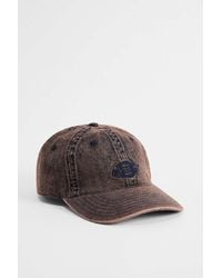 Dickies - Brown Hardwick Cap - Lyst