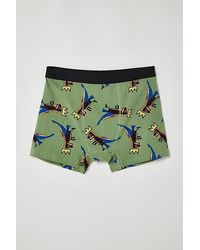 Urban Outfitters - Basquiat Tossed Dino Boxer Brief - Lyst