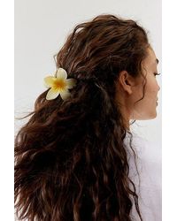Urban Outfitters - Plumeria Flower Claw Clip - Lyst