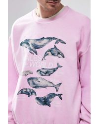 Urban Outfitters - Uo Pink Whales World Sweatshirt - Lyst