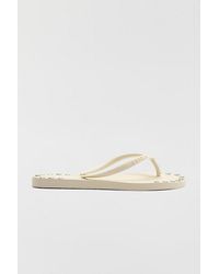 Brizza Arezzo - Studded Thong Sandals - Lyst