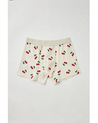 Urban Outfitters - Cherry Tossed Icon Boxer Brief - Lyst