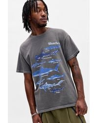 Urban Outfitters - Uo Shark Chart Relaxed Graphic Tee - Lyst