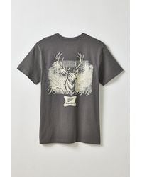 Urban Outfitters - Miller High Life Buck Graphic Tee - Lyst
