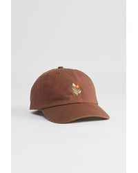 Urban Outfitters - Floral Icon Dad Hat - Lyst