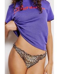 Wild Lovers - Multi-pack Of 4 Briefs Small At Urban Outfitters - Lyst