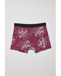 Urban Outfitters - Pabst Ribbon Logo Boxer Brief - Lyst