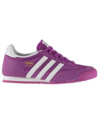 dragon adidas purper